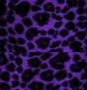 purple panther