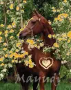 horse