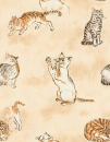 cats