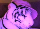 Tiger--cute 