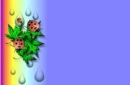 ladybirds