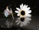 dancer girl