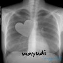 mayudi