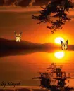 atardecer