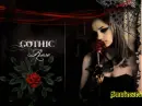 Gothic Rose