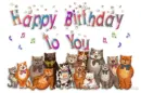 Birthday Greeting