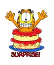 Surprise