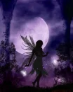 purple fairy
