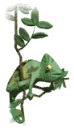 color changing chameleon