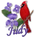Judy