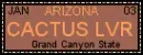 Arizona cactus lover