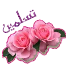 taslim