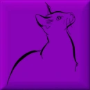 cat silhouette on purple