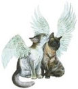 Kitty angels