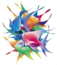 Multi coloured fish