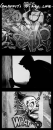 Graffiti is my life.