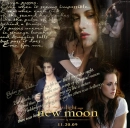 bella and edward