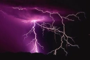 Pink Lightning