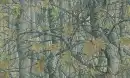 Autumn trees