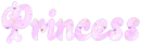 pink princess text
