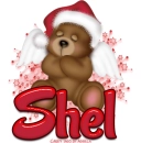 Shel