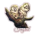 Ingrid