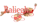Baliegh