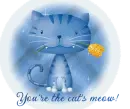 Cat's Meow