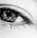 eye