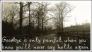 good bye is so painful ...