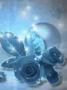 blue roses