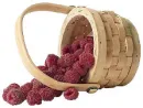raspberry basket