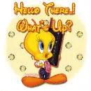 Hello there! What's Up?