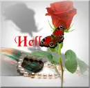 hello