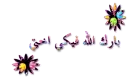 baraka allah fik
