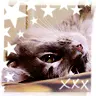 kitteh