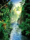 Amazon rainforest