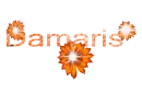 Damaris orange 