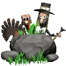 turkey and pilgrim