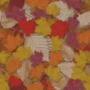 maple leaf wallpaper