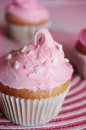 pink cupcake