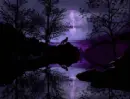 wolfnite