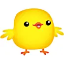 cute chic