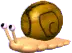 snail