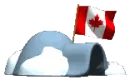 igloo with canadian flag