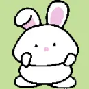 bunny