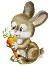 Hare.