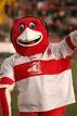 hull kr's robbin