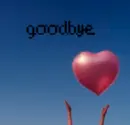 Goodbye
