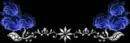 dark